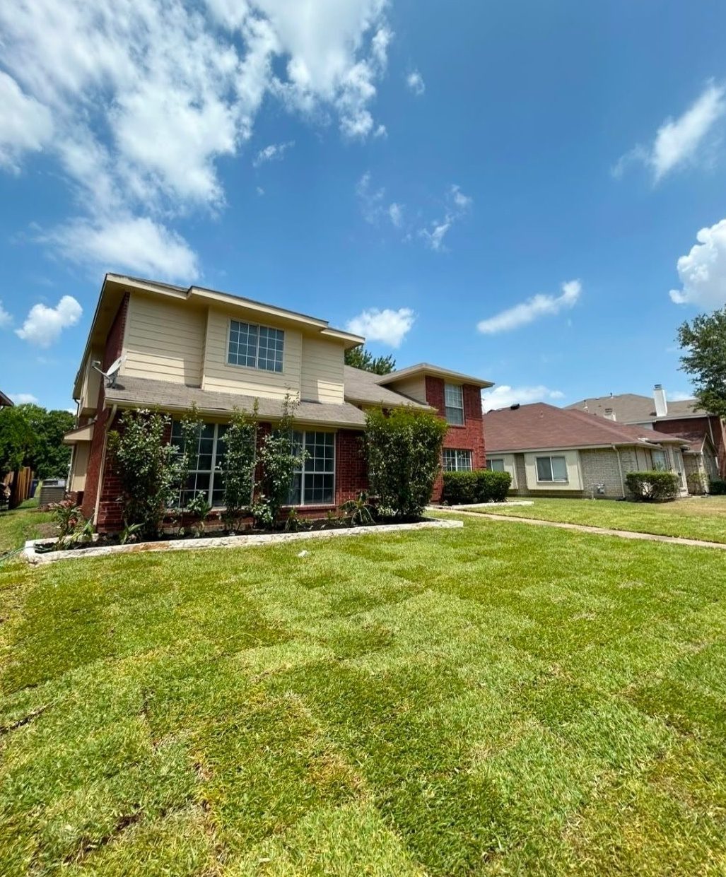 Front yard sod installation — after Pro Turf Landscaping finished